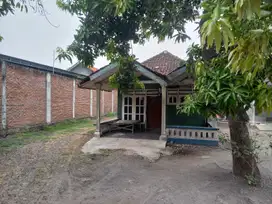 Rumah Kelurahan Wonokasian Kec Wonoayu Kab Sidoarjo
