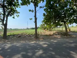 Dijual Cepat Tanah di Pesantren Kediri