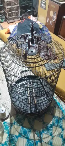 Kandang murai no2