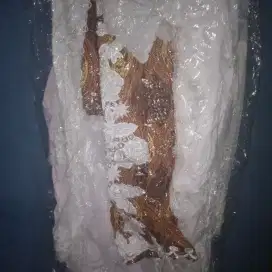Baju Akad Nikah Putih Wanita Bekas
