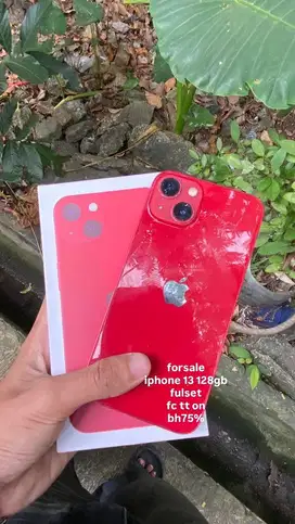 iphone 13 128gb x inter