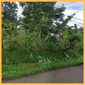 Dijual Tanah Bandung Dekat Perumahan Bukit Pinus Banjaran