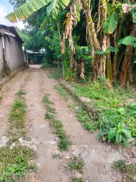 Pekarangan murah hanya 175jt BU