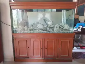 Aquarium Air Laut