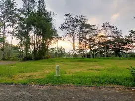 Dijual Tanah Kavling Impian View Lapangan Golf di Telaga Golf Araya, M