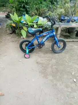 12 San Montana siap pakai