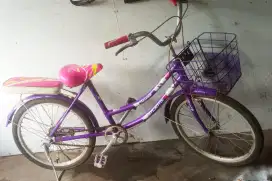 Sepeda 20in anak