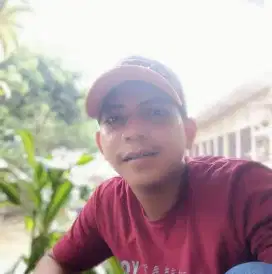 Driver freelance dll