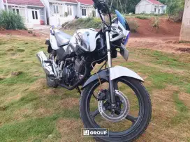 FOR SALE!! Tiger Revo 2012