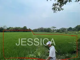 DIJUAL TANAH SHM COCOK UNTUK PABRIK, GUDANG, DAN MESS DI CURUG KAB. TA