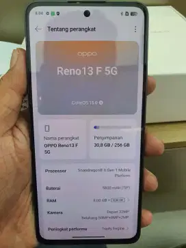 LIKE NEW Reno 13F 5G 8/256