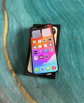IPhone 13 pro max 256 gb ibox gold