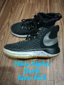 Sepatu Nike HyperDunk