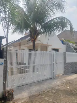 KONTRAKAN NYAMAN DAN ASRI