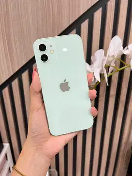 IPHONE 12 256 GREEN BEACUKAI