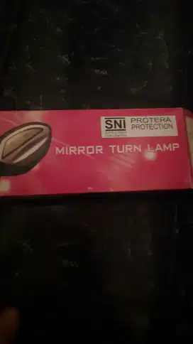 Mirror turn lamp beat