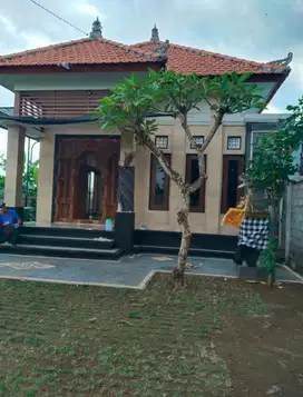 Disewakan rumah minimalis view sawah