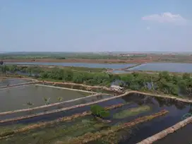 Dijual Tanah empang bekasi