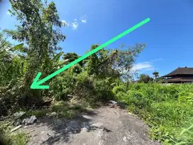 DIJUAL TANAH SIAP BANGUN LOKASI UBUD