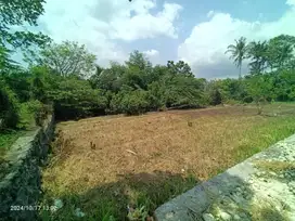Tanah View Sawah dan Jungle 5 Kilometer ke Pantai Kedungu Bali