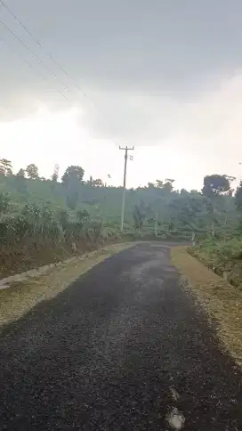 Tanah murah jalan besar