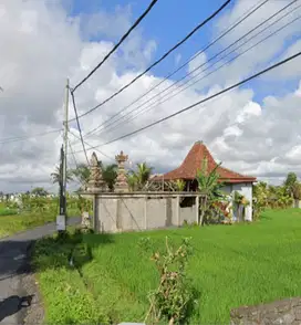 Tanah Zona Kuning view sawah di Jalan Cinta Ubud Bali