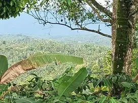 Tanah Kebun Di Selemadeg 15 Menit Ke Pantai Balian Bali