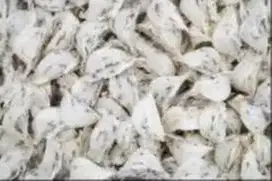 SARANG BURUNG WALET atau YENWO 100% asli natural, belum dicuci.