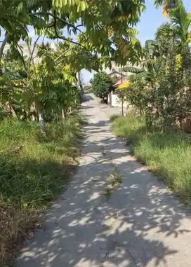 Tanah murah di daerah jl Harapan Raya kota Pekanbaru