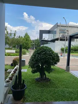 Disewakan Rumah Mewah dan Nyaman