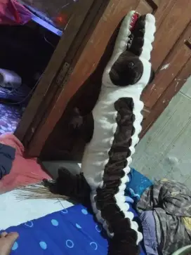 Boneka buaya besar