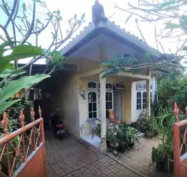 Tanah GLOBAL 243M2 Isi Bangunan di Buduk Pengayutan dkt Padonan
