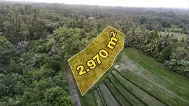 Beautiful Land Ocean and Rice Field View Selamadeg Tabanan Bali