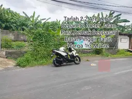 Jual Tanah 2,2 are di Jalan UTAMA PURA DEMAK Denpasar