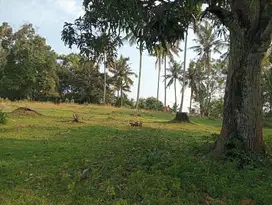 Dijual tanah kebun murah view perbukitan dan laut di selemadeg barat