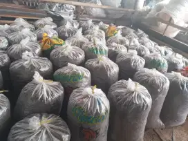 Pupuk kandang tidak bau