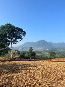 Kavling murah dekat kawasan wisata puncak 2 Bogor