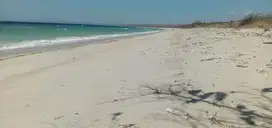 Land for sale beachfront sumba NTT