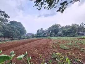 Tanah SHM di Cinangka – Harga Kompetitif Mulai Rp 4,1 Juta/m²
