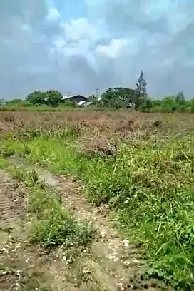 DIJUAL KAVLING WIDANG, TUBAN
