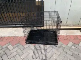 Kandang besar untuk kucing