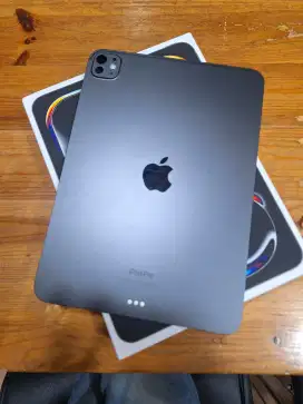 Ipad pro m4 / 256gb