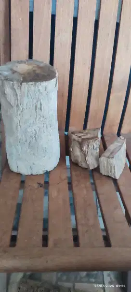 Jual fosil kayu sdh membatu