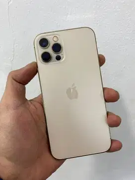 Iphone 12 pro 256 ibox
