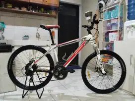 Sepeda mtb wimcycle roadtech DX