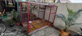 Kandang Anjing Besi