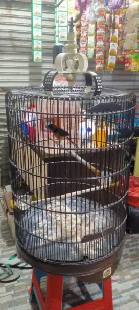 Murai batu Sukomanunggal