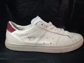 Onitsusuka tiger second