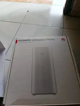 Orbit Max 4G router