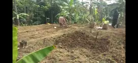 Dijual Tanah Perkebunan di Kecamatan Kutawaringin Kota Bandung